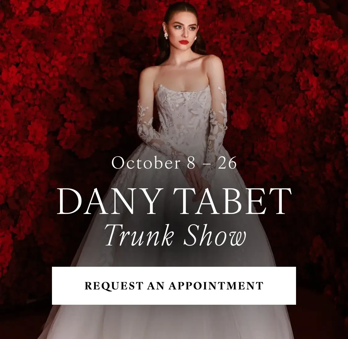 dany tabet trunk show