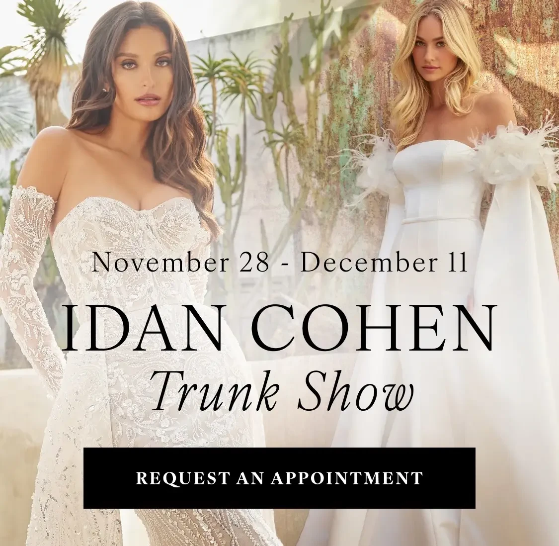 idan cohen trunk show banner