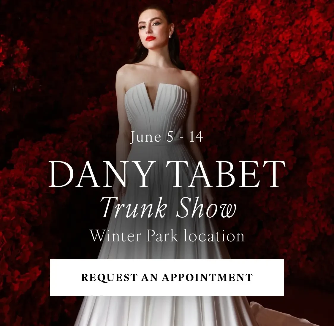 Dany Tabet Trunk Show banner